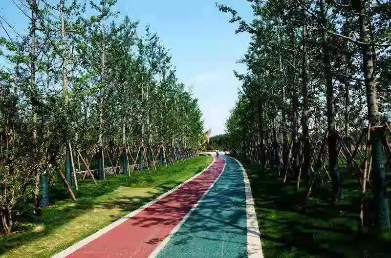 世界杯投注网站这个湿地公园惊艳了时光，温柔了岁月！