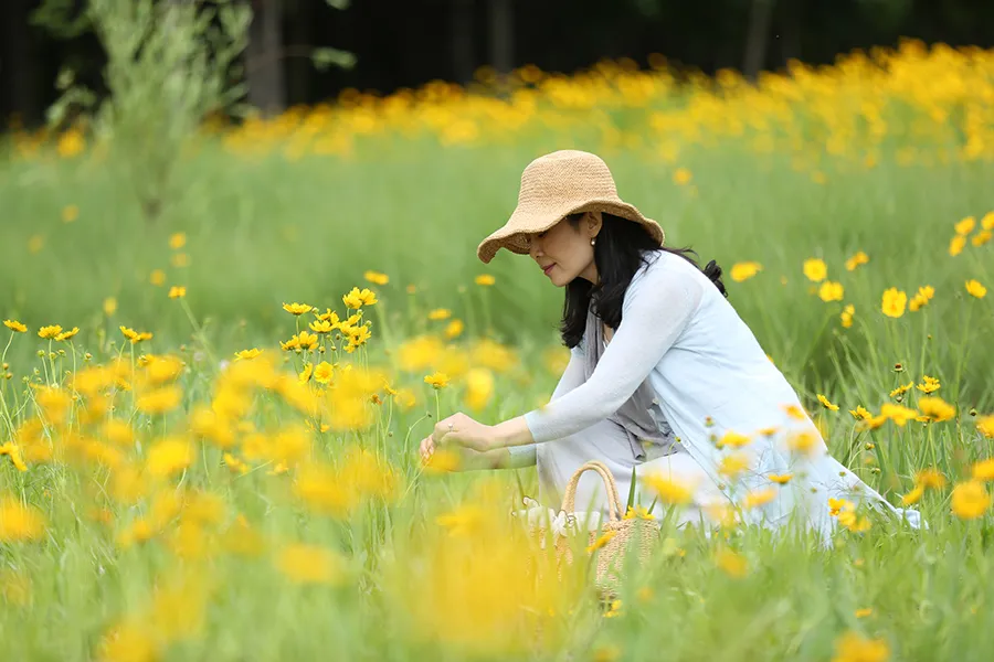 世界杯投注网站秋天里的“情书”藏在了这里……