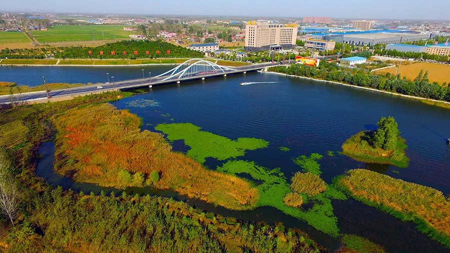 世界杯投注网站秋天里的“情书”藏在了这里……