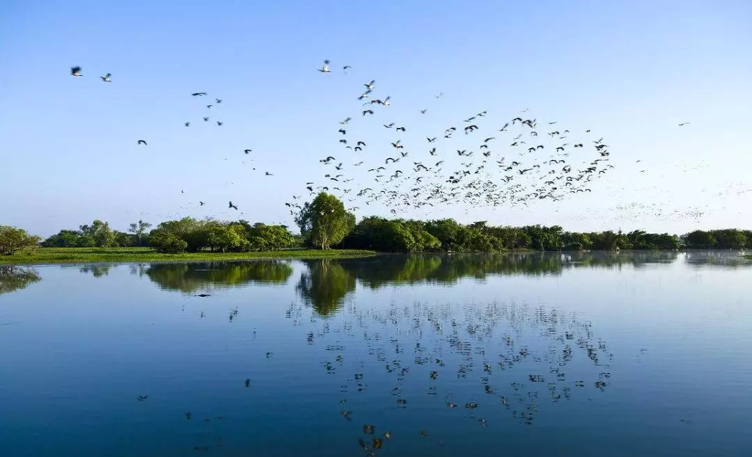 世界杯投注网站这个湿地公园惊艳了时光，温柔了岁月！