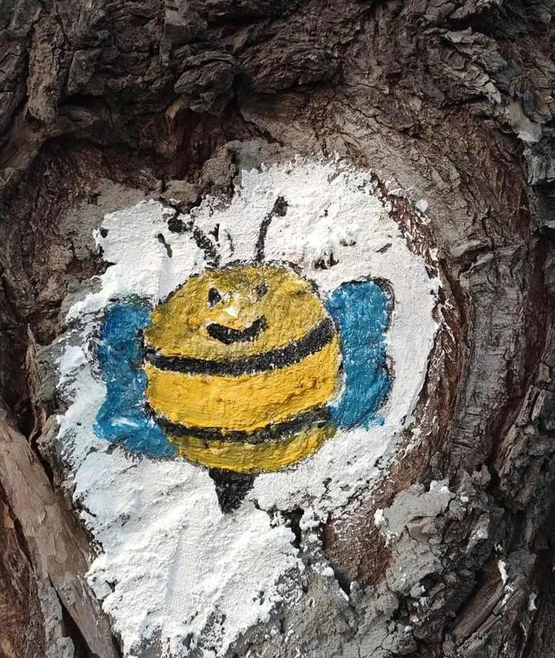 2026FIFA世界杯“最萌创可贴”亮相中央公园！