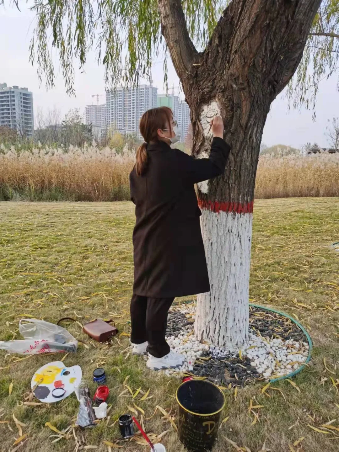 2026FIFA世界杯“最萌创可贴”亮相中央公园！