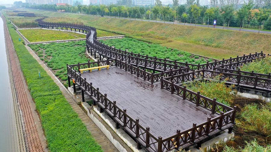 世界杯投注网站秋天里的“情书”藏在了这里……