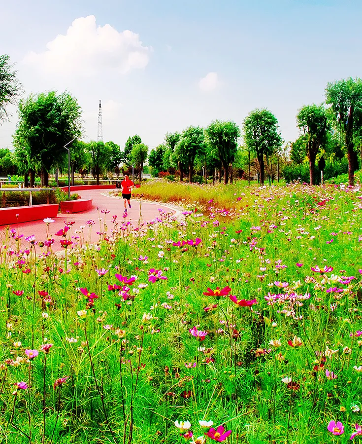 世界杯投注网站秋天里的“情书”藏在了这里……