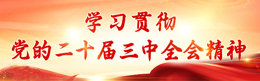 学习贯彻党的二十届三中全会精神