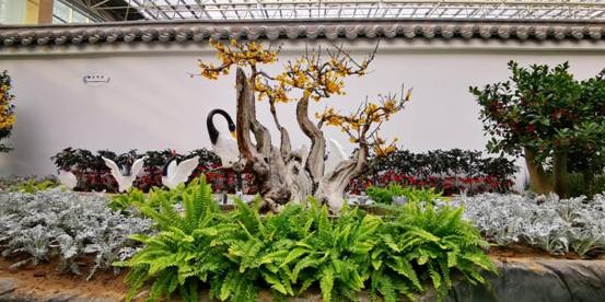 微信图片_202001041454281